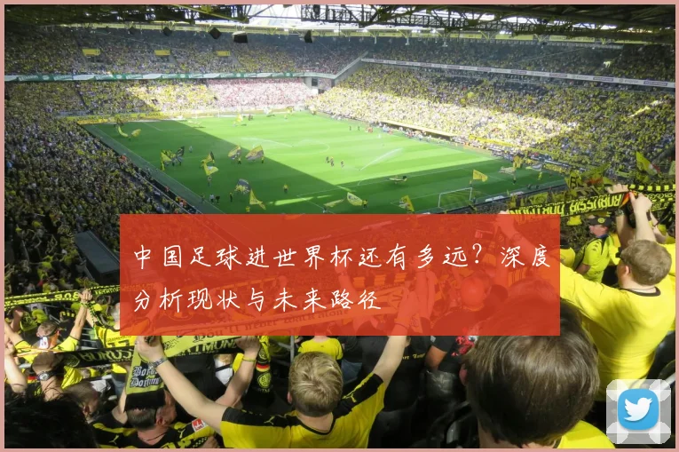 中国足球进世界杯还有多远?深度分析现状与未来路径