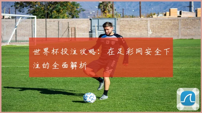 世界杯投注攻略:在足彩网安全下注的全面解析