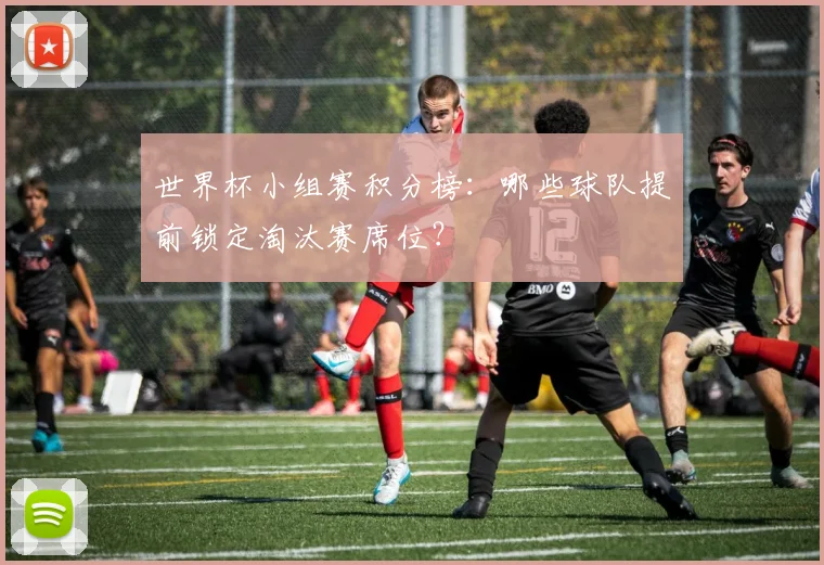 世界杯小组赛积分榜：哪些球队提前锁定淘汰赛席位？