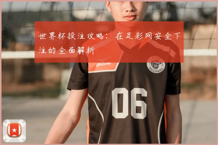 世界杯投注攻略：在足彩网安全下注的全面解析