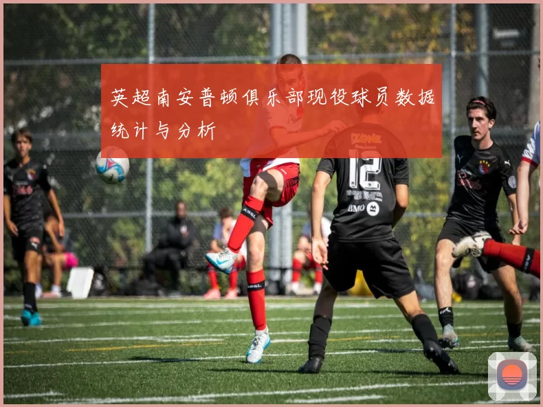 英超南安普顿俱乐部现役球员数据统计与分析