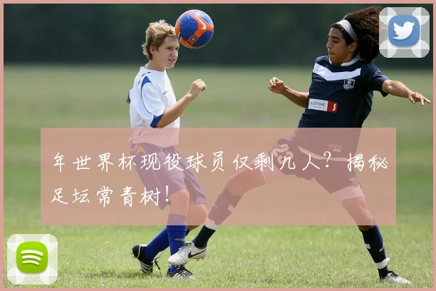 年世界杯现役球员仅剩几人?揭秘足坛常青树!