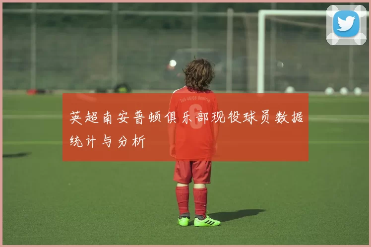 英超南安普顿俱乐部现役球员数据统计与分析