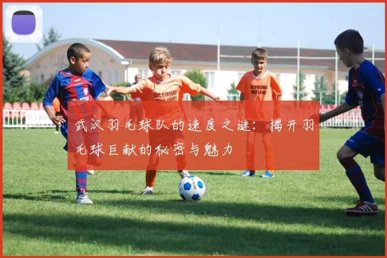 武汉羽毛球队的速度之谜：揭开羽毛球巨献的秘密与魅力