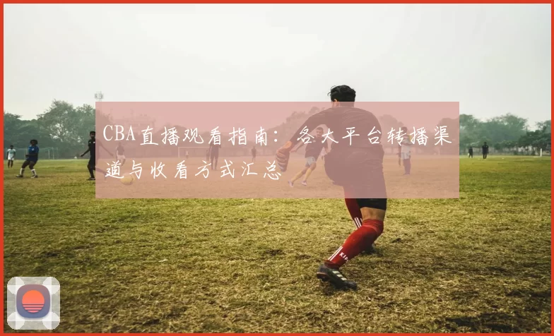 CBA直播观看指南：各大平台转播渠道与收看方式汇总