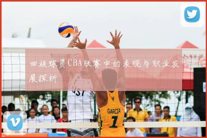 回族球员CBA联赛中的表现与职业发展探析