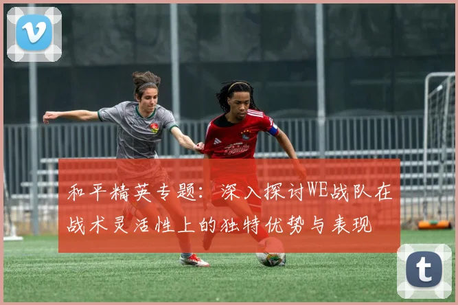 和平精英专题:深入探讨WE战队在战术灵活性上的独特优势与表现