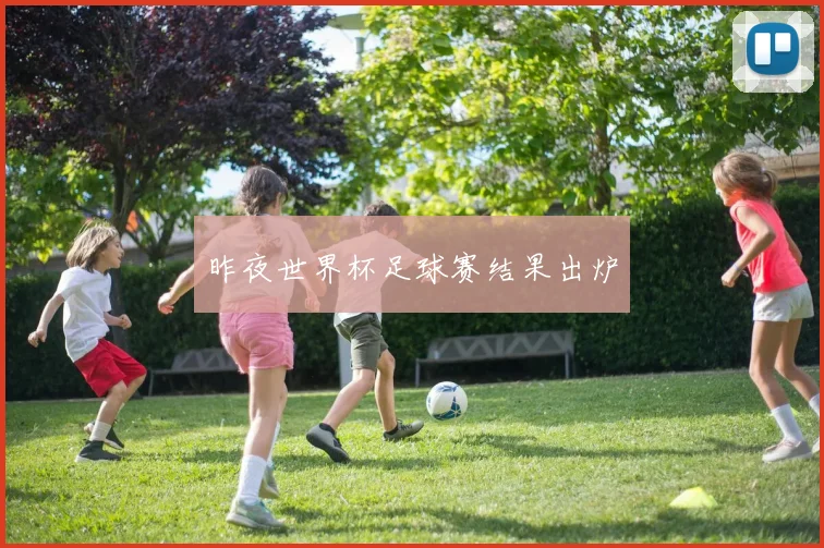 昨夜世界杯足球赛结果出炉