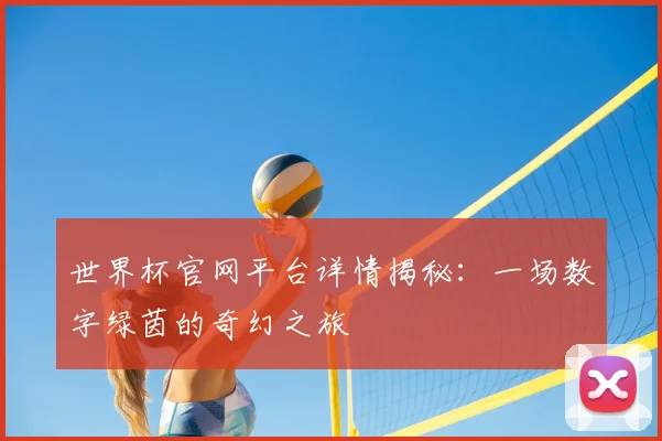 世界杯官网平台详情揭秘：一场数字绿茵的奇幻之旅