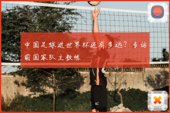 中国足球进世界杯还有多远?专访前国家队主教练